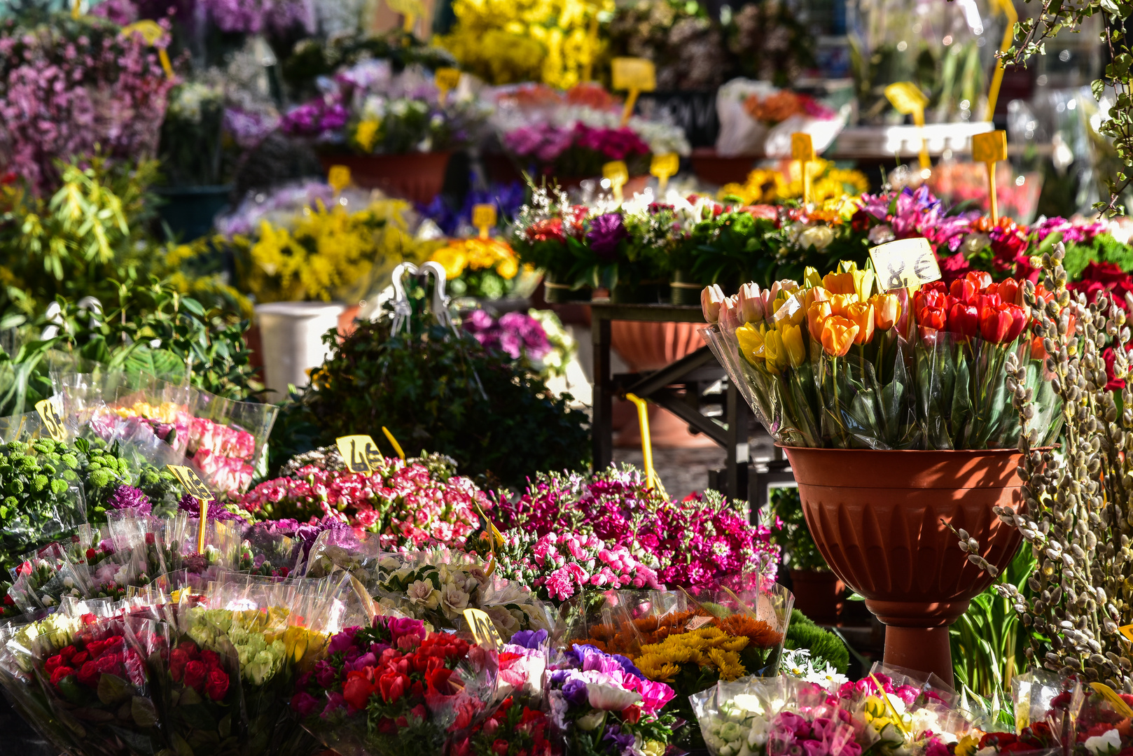 Rom - Campo de Fiori