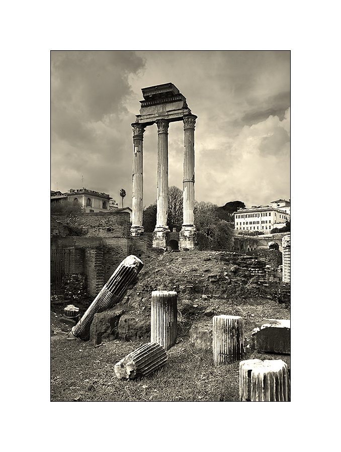 Rom - die ewige Stadt - Foro Romano #2 -