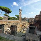 Rom - Forum Romanum (01)