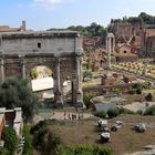 Rom - Forum Romanum (02)