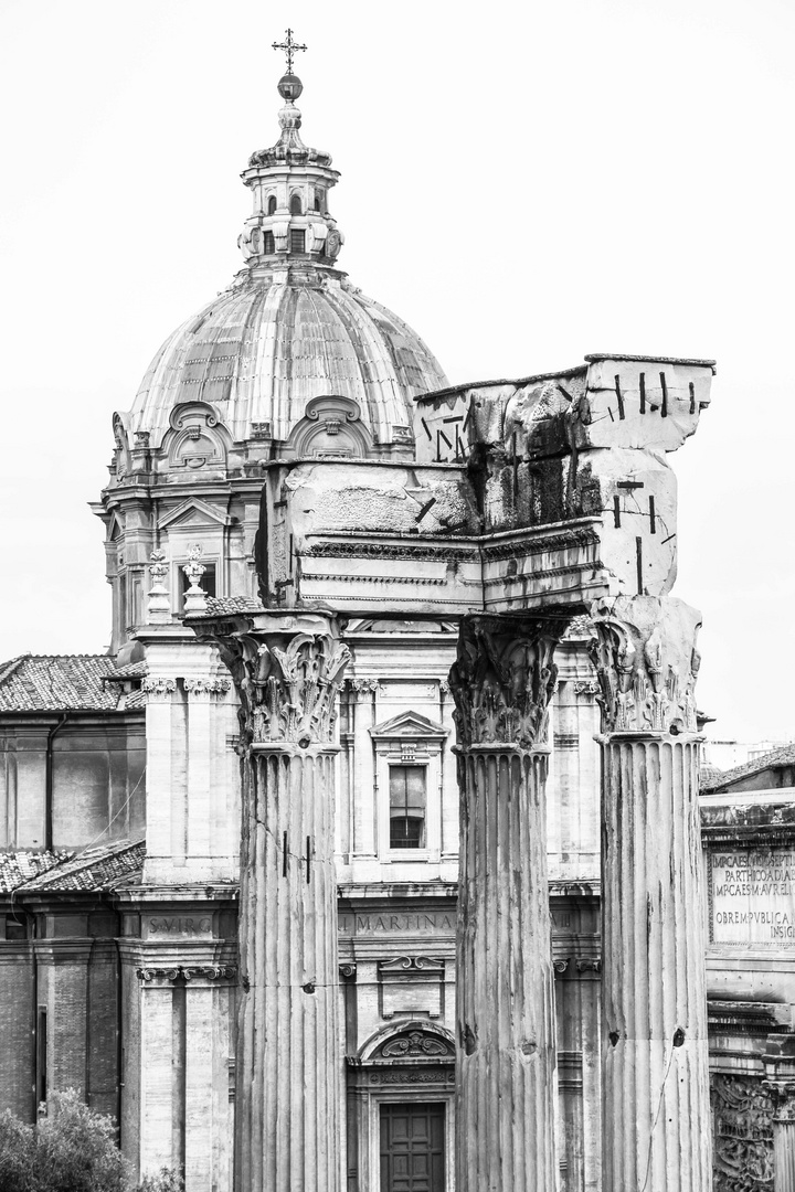 Rom - Forum Romanum