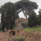 Rom Forum Romanum_02