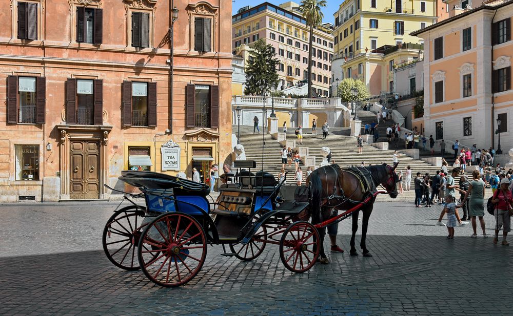 ROM - Scalinata di Trinità dei Monti -