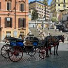 ROM - Scalinata di Trinità dei Monti -