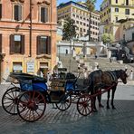 ROM - Scalinata di Trinità dei Monti -