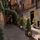 ROM   - Trastevere -