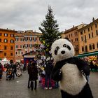 ROM, Vatican City