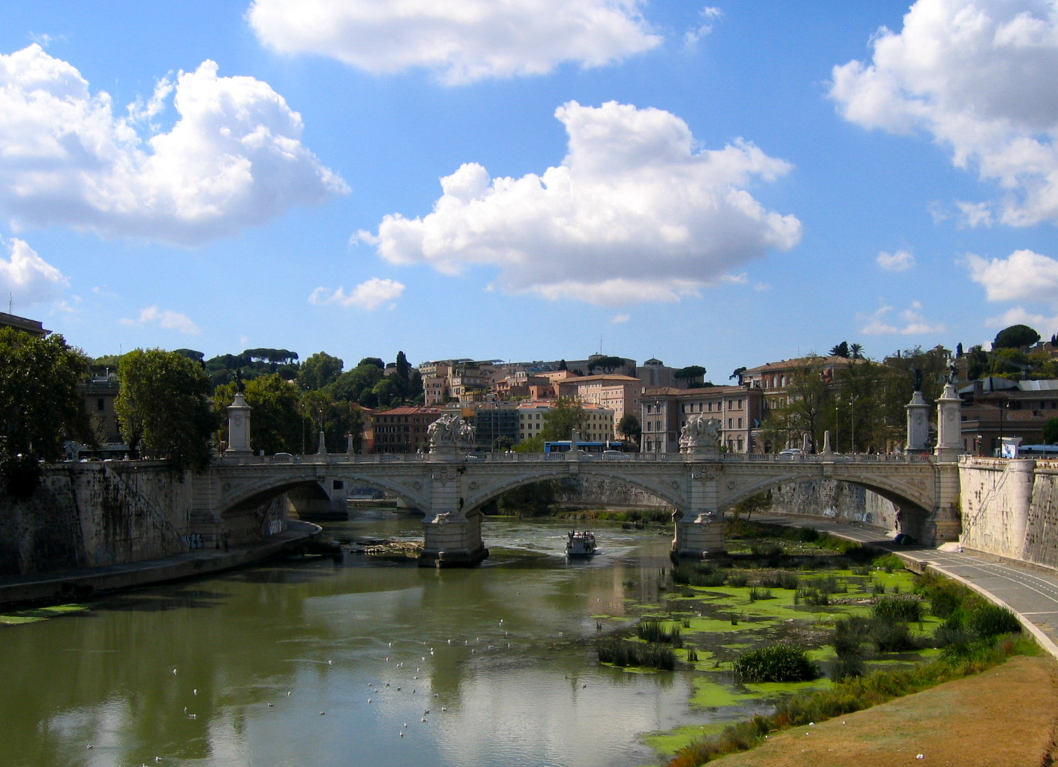 Roma amore mio