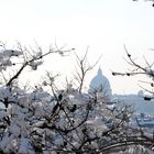 Roma con la neve