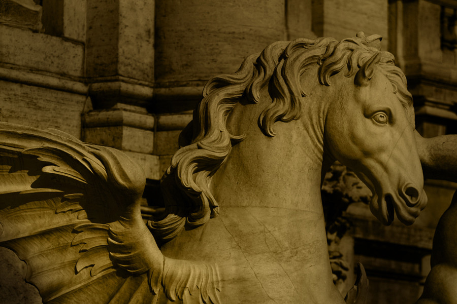 Roma, Fontana de Trevi 2008