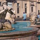 ROMA   -  Fontana del Moro -