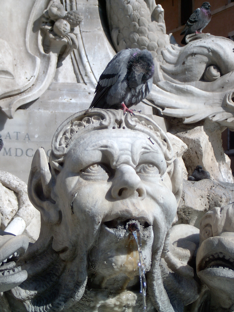 Roma: Fontana del Pantheon (2005)