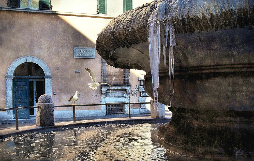 Roma gelata : "Piazza D'Ara Coeli"