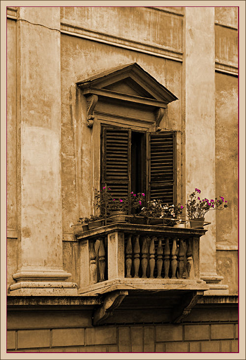 Roma I. (Windows & Flowers)