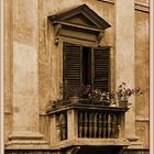 Roma I. (Windows & Flowers)