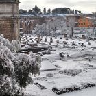 Roma: "Il Foro Romano e il Palatino sotto la neve"