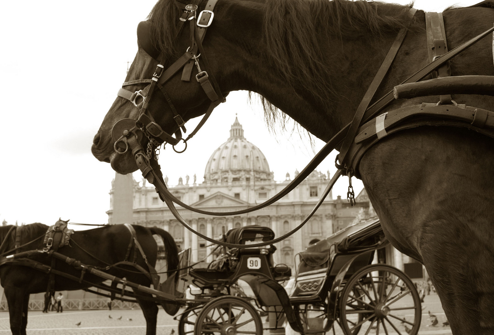 Roma. Il Vaticano