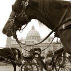 Roma. Il Vaticano