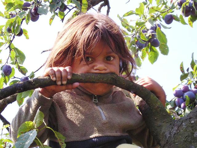 Roma im Tabor in der Ukraine V Foto & Bild | kinder, roma in der ukraine, menschen Bilder auf ...