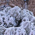 Roma: "La neve sui bassorilievi"