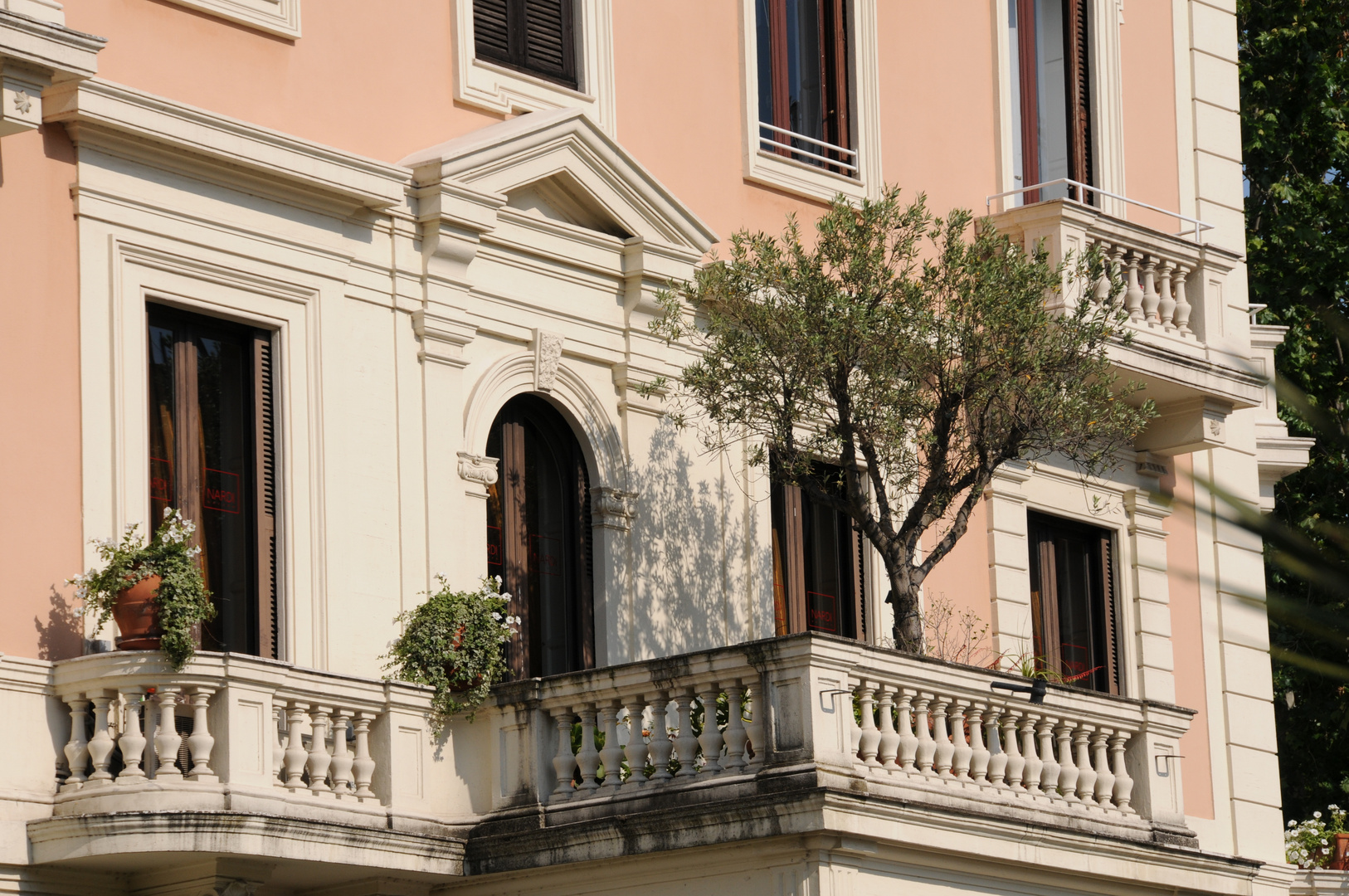 ROMA PARIOLI - un albero sul balcone