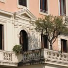 ROMA PARIOLI - un albero sul balcone