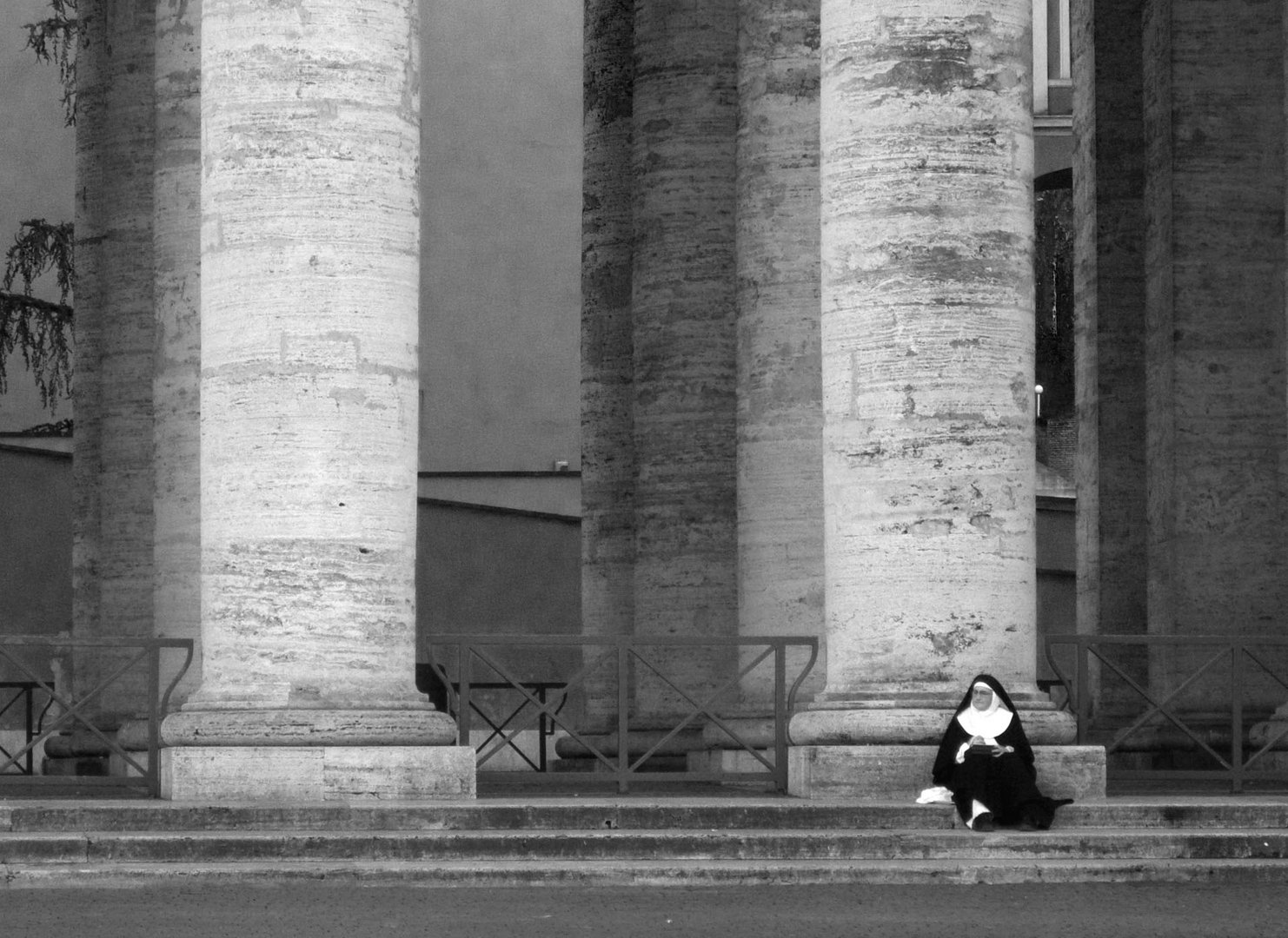 Roma, riposo a piazza San Pietro