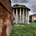 Roma: Tempio di Vesta