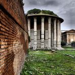 Roma: Tempio di Vesta