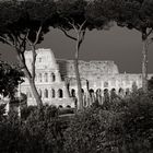 ROMA7325_44mm_f5_6