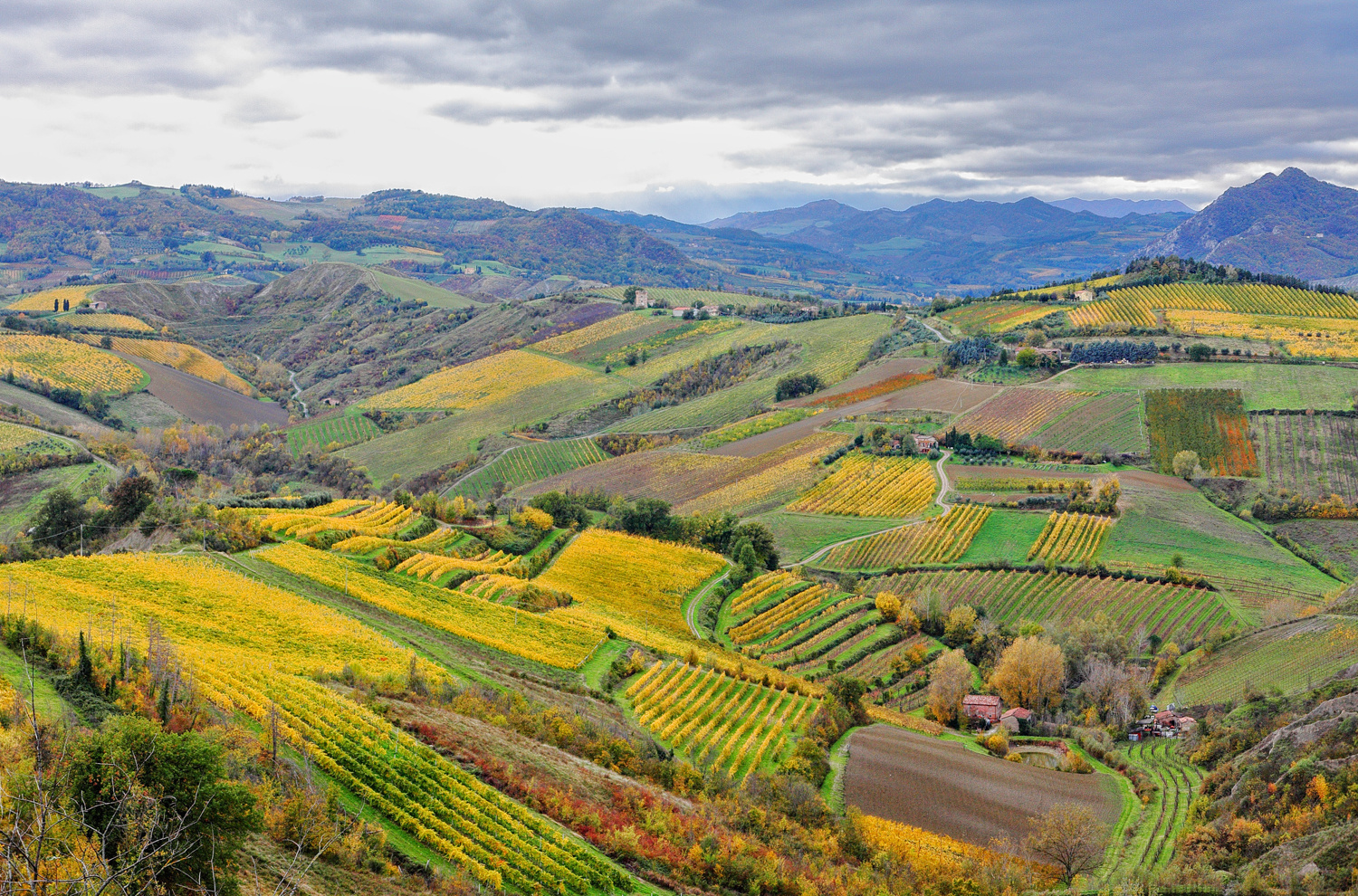 Romagna, la mia terra