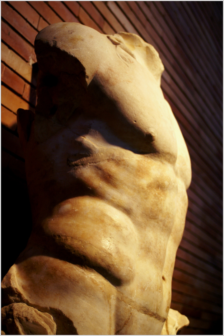 Roman male bust
