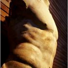 Roman male bust