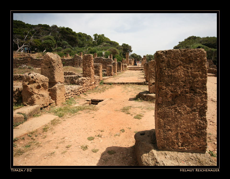 Roman Ruins at Tipaza I, Tipaza / DZ