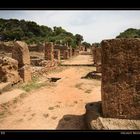 Roman Ruins at Tipaza I, Tipaza / DZ