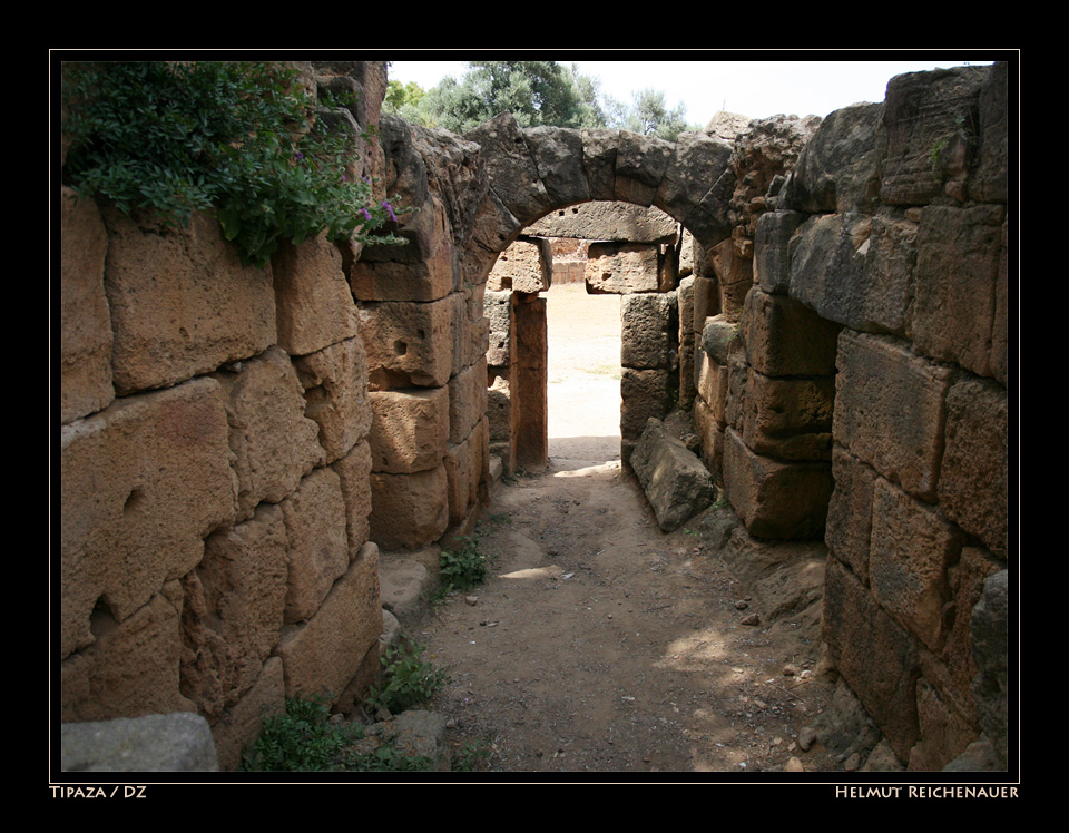 Roman Ruins at Tipaza II, Tipaza / DZ