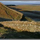 Roman Wall near Housesteads