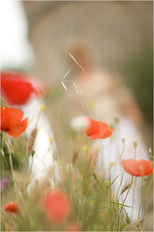 Romance à Provence