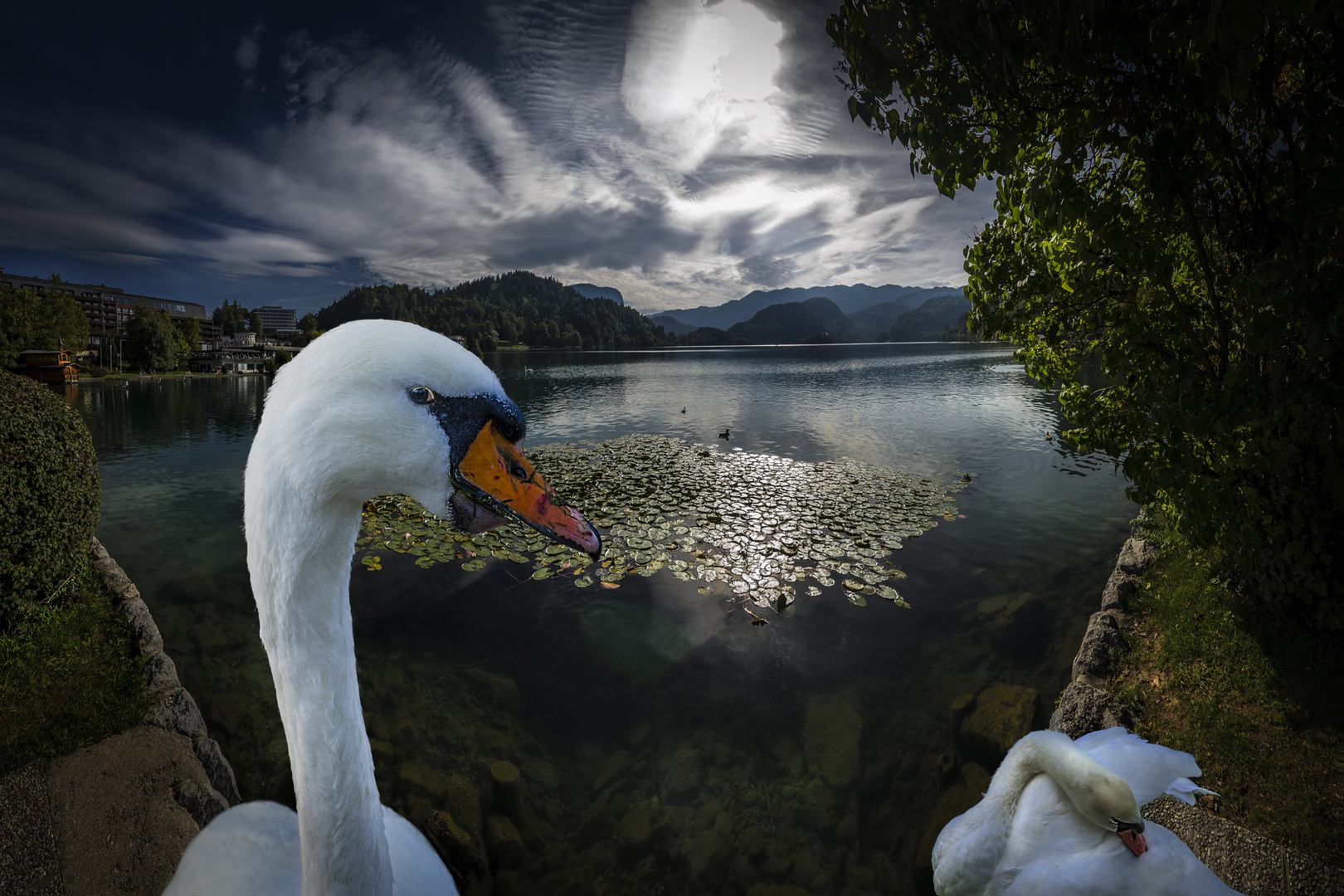 Romance on the Lake