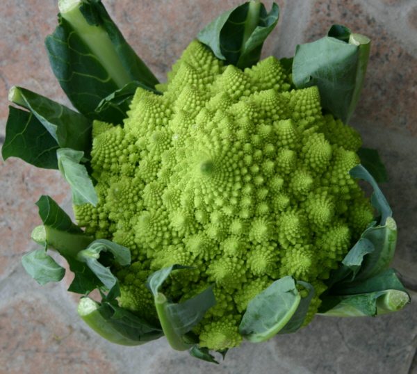 Romanesco