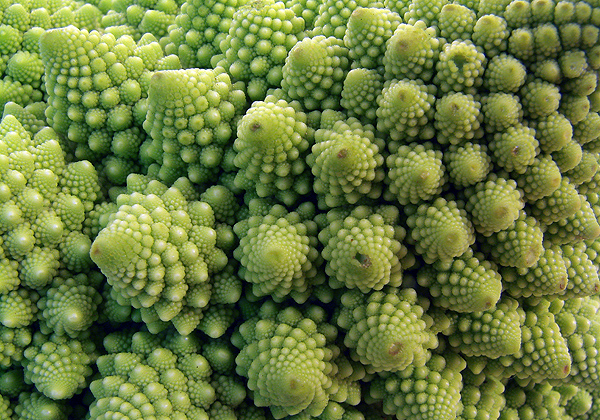 Romanesco