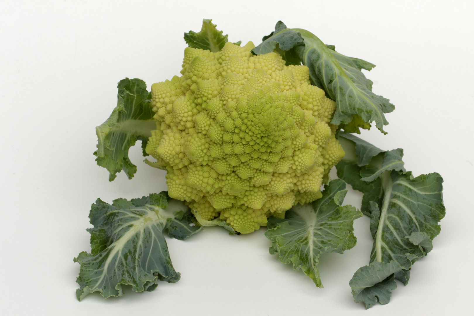 Romanesco