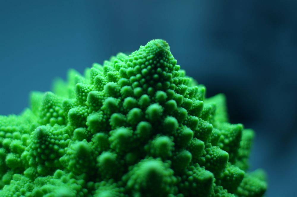 Romanesco