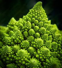 Romanesco