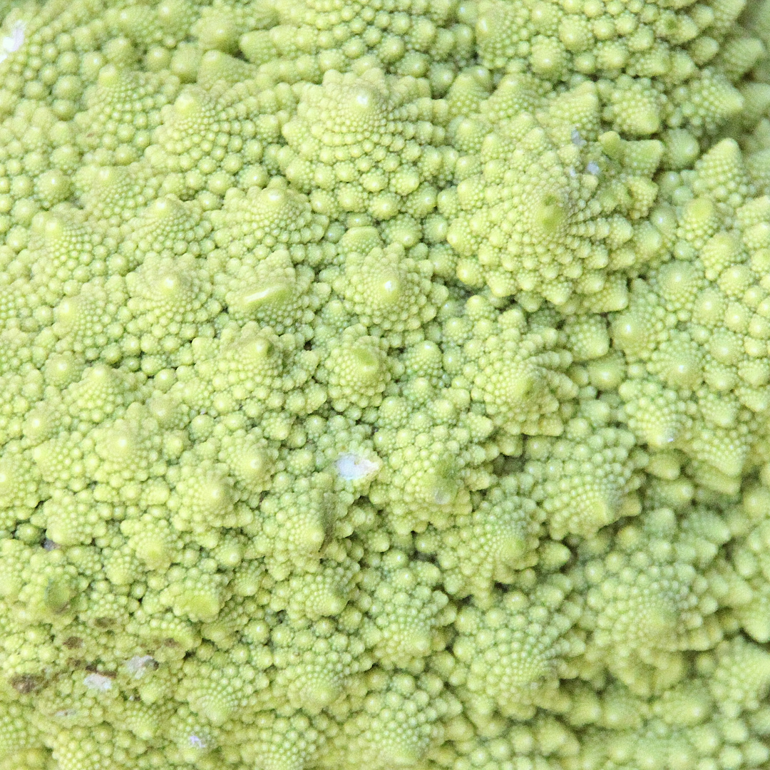 Romanesco