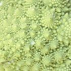 Romanesco