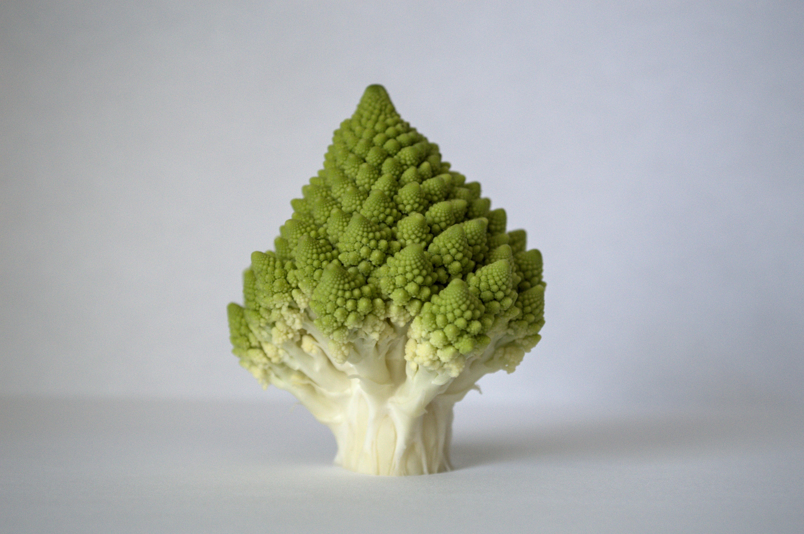 Romanesco