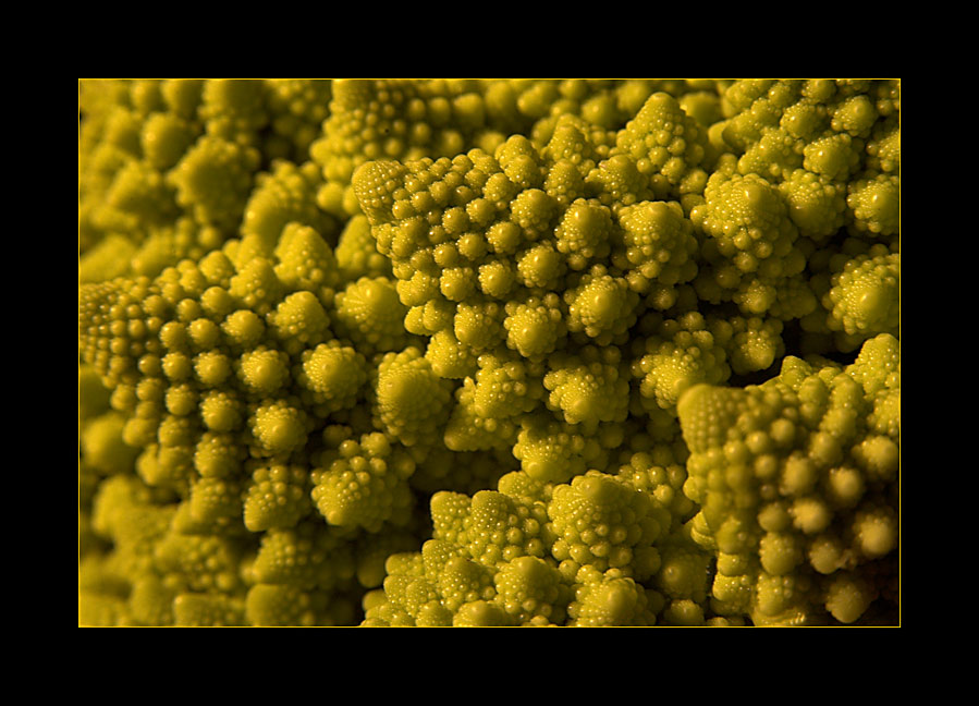 romanesco