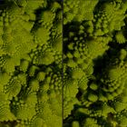 Romanesco (3D-X-View Freihand-Cha-Cha)