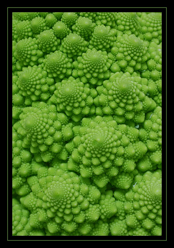 Romanesco